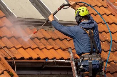 Démoussage et hydrofuge de toiture à Moulidars
